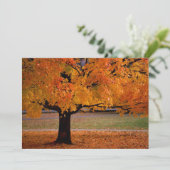 Carte automne 1 (Debout devant)