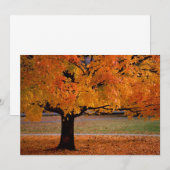 Carte automne 1 (Devant / Derrière)