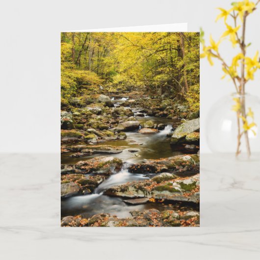 Carte Automne à Big Creek (Fleur jaune)