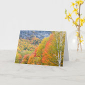 Carte Automne à Grafton Notch State Park, Maine (Fleur jaune)