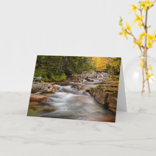 Carte Automne à Jefferson Brook, New Hampshire (Fleur jaune)
