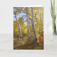 Automne Aspen toute la salutation d'occasion