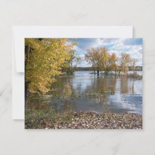 Carte Automne au lac Black Dog