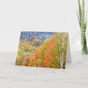 Carte Automne dans le parc d'État de Grafton Notch, Main