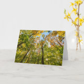 Carte Automne dans une forêt à Amesbury, Massachusetts (Fleur jaune)