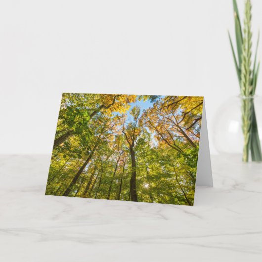 Carte Automne dans une forêt à Amesbury, Massachusetts (Devant)