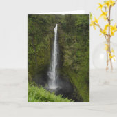 Carte Automnes d'Akaka (Fleur jaune)