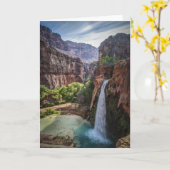 Carte Automnes de Havasu (Fleur jaune)