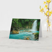 Carte Automnes de Rio Celeste (Fleur jaune)