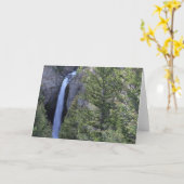 Carte Automnes de tour, parc national de Yellowstone, (Fleur jaune)