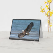 Carte Autorisation de débarquer (Fleur jaune)