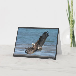 Carte Autorisation de débarquer