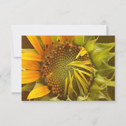 Carte Autumts Sunflower chauffante (Devant)