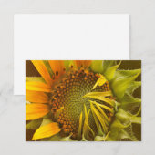 Carte Autumts Sunflower chauffante (Devant / Derrière)