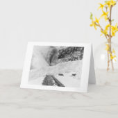 Carte Avalanche Alaska 1916 de train (Fleur jaune)