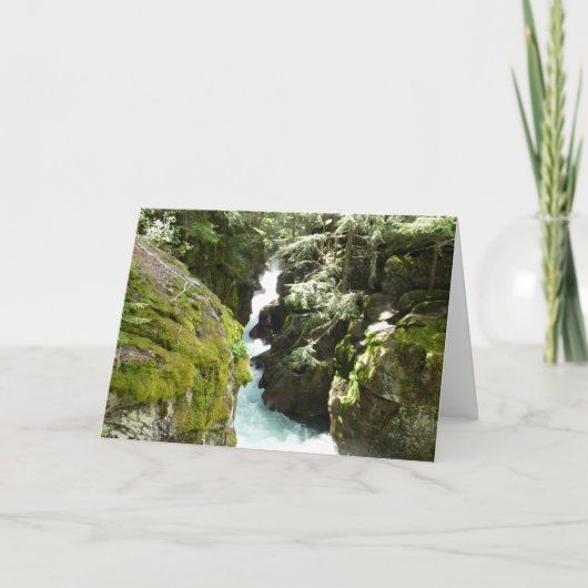 Carte Avalanche Gorge II at Glacier National Park (Devant)