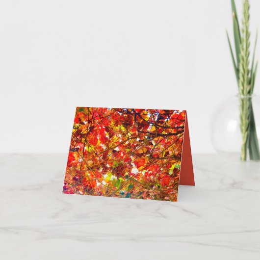 Carte avec feuilles d'automne (Devant)