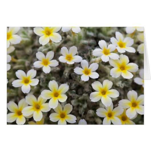 Carte avec Fleurs (Devant horizontal)