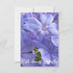 Carte "Avec la plus grande sympathie"