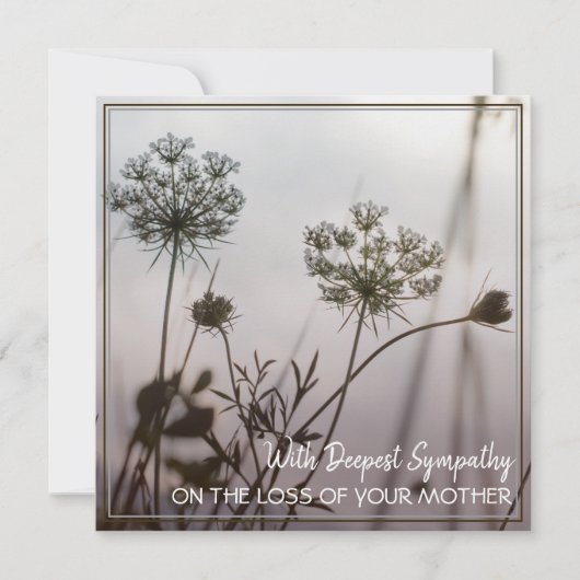Carte Avec La Plus Profonde Sympathie Sur La Perte De Vo (Devant)
