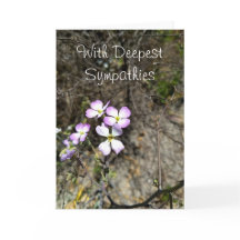 Avec les sympathies les plus profondes