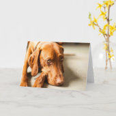 Carte avec motif "Magyar Vizsla" (Fleur jaune)