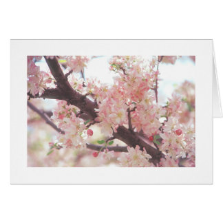 carte avec photo de branche d'arbre en fleurs