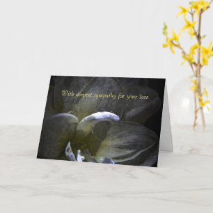 Carte Avec profonde sympathie - Amaryllis