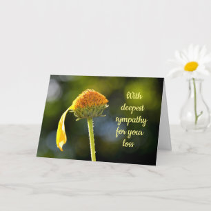 Carte Avec profonde sympathie - avec fleur