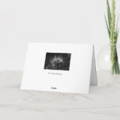 Carte Avec profonde sympathie - Fleur rose (Dos)