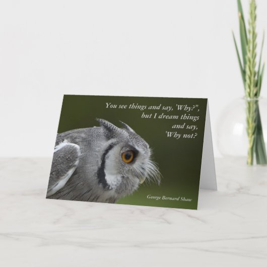 Carte avec quota - Baby Grey Owl (Devant)