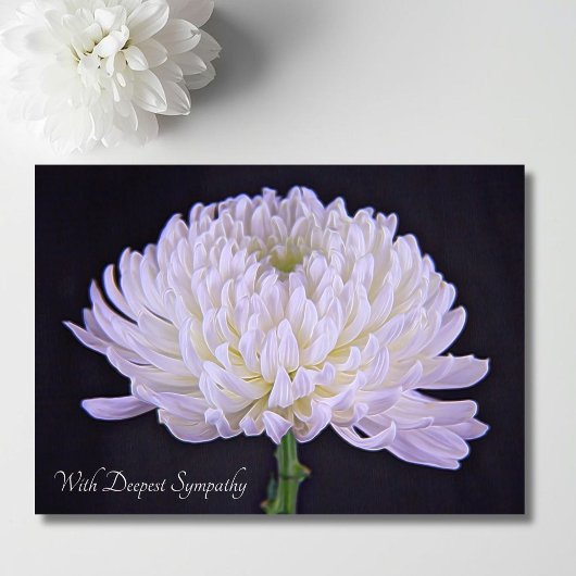 Carte Avec Sympathie la plus profonde Chrysanthème blanc