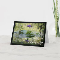 Avec Sympathie, Simplement exprimé ses condoléance