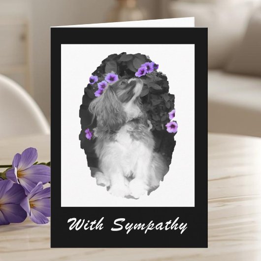 Carte Avec Sympathy Cavalier King Charles Card