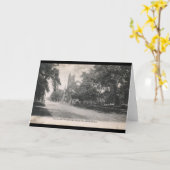 Carte Avenue d'Euclid., cru 1906 de Cleveland, Ohio (Fleur jaune)