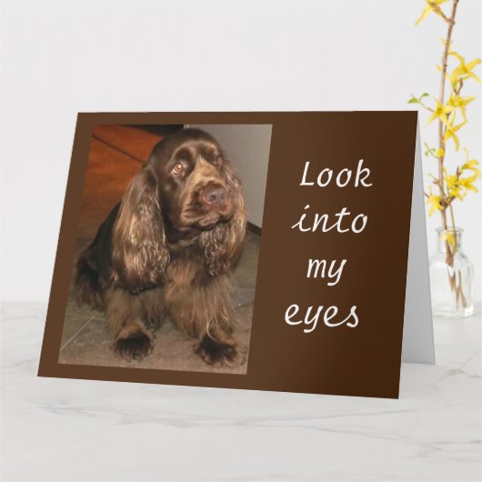 CARTE **AVEZ LE MEILLEUR ANNIVERSAIRE JAMAIS** DIT PUP (Fleur jaune)