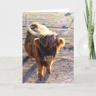 Carte Avez-vous dit la Journée des cheveux morts ?