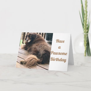 CARTE AVOIR UN **PAWSQUY ANNIVERSAIRE**
