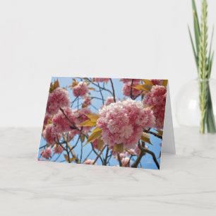 Carte Avril Blossoms [Carte de voeux]