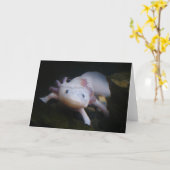 Carte Axolotl mexicain (Fleur jaune)