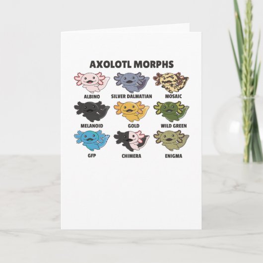 Carte Axolotls Du Monde Sweet Animaux Axolotl (Devant)