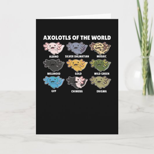 Carte Axolotls Du Monde Sweet Animaux Axolotl (Devant)