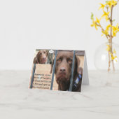 Carte Ayez un anniversaire fabuleux… sans conséquences (Fleur jaune)