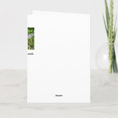 Carte Ayez un anniversaire magique (Dos)