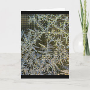 Carte Ayez un beau jour n'importe quelle occasion