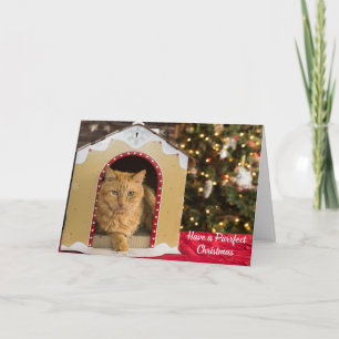 Carte Ayez un chat chouette de Noël à la maison de chat