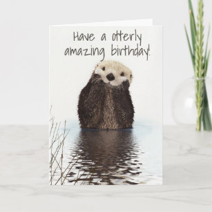 Cadeaux Anniversaire De Loutre Zazzle Be