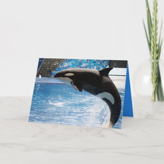 Carte Ayez une baleine d'un jour ! (Devant)