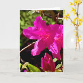 Carte Azaelea rose vierge (Fleur jaune)