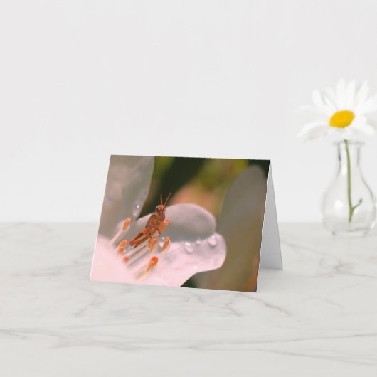 Carte Azalea Flower And Grasshopper Personalized Note (Petite plante)